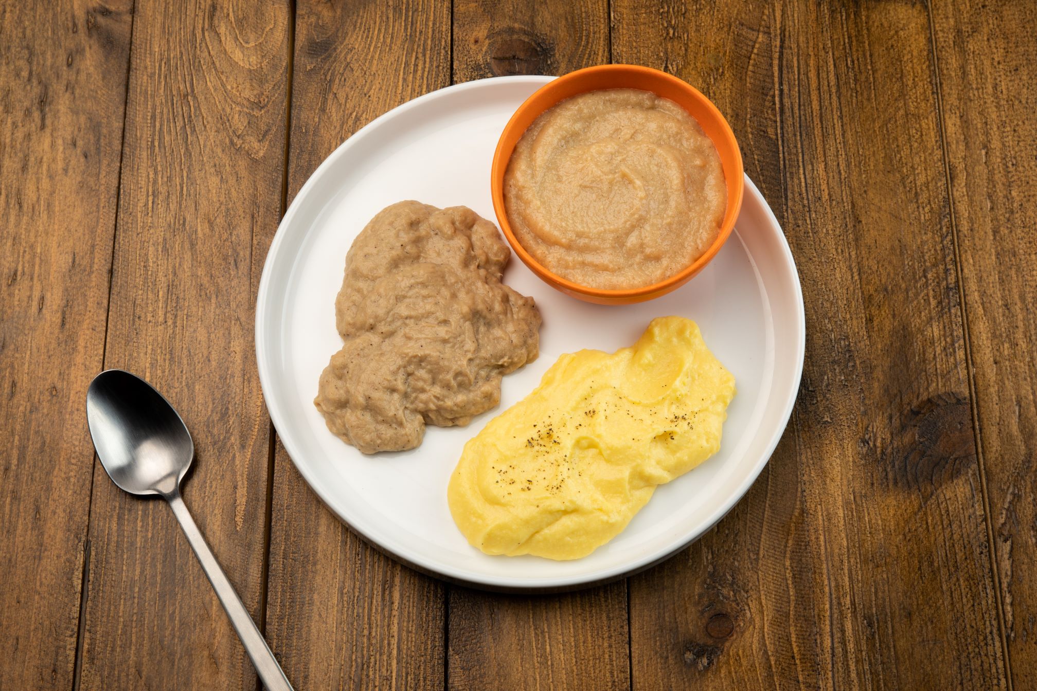 PUREED Scrambled Eggs, Brown Sugar Pork & Fritter